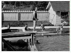 (Image: Swimming Pool Diving Boards)