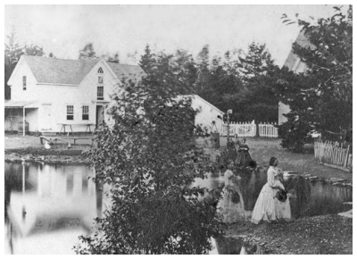 (Image: Women Stroll the Wooded Grounds near the Pond)