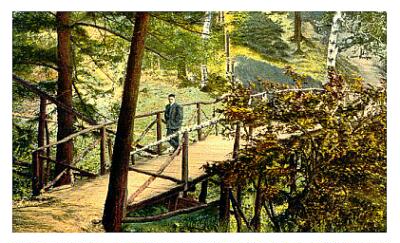 (Image: A Foot Bridge in a Wooded Area)