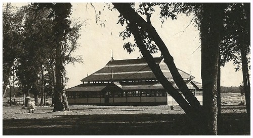 (Image: The Park's Pavilion seen through the Trees)