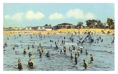 (Image: Swimmers enjoying the Water)