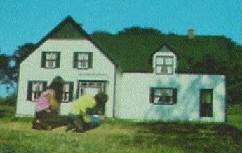 (Image Right: Two Persons kneel to Look into the Windows of the
 `Anne' House)