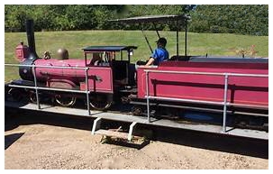 (Image: The Engineer Seated at the Controls with
  the Locomotive and Tender on the Turntable)